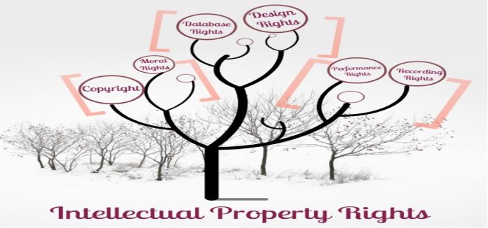 luat huu tri tue 2005